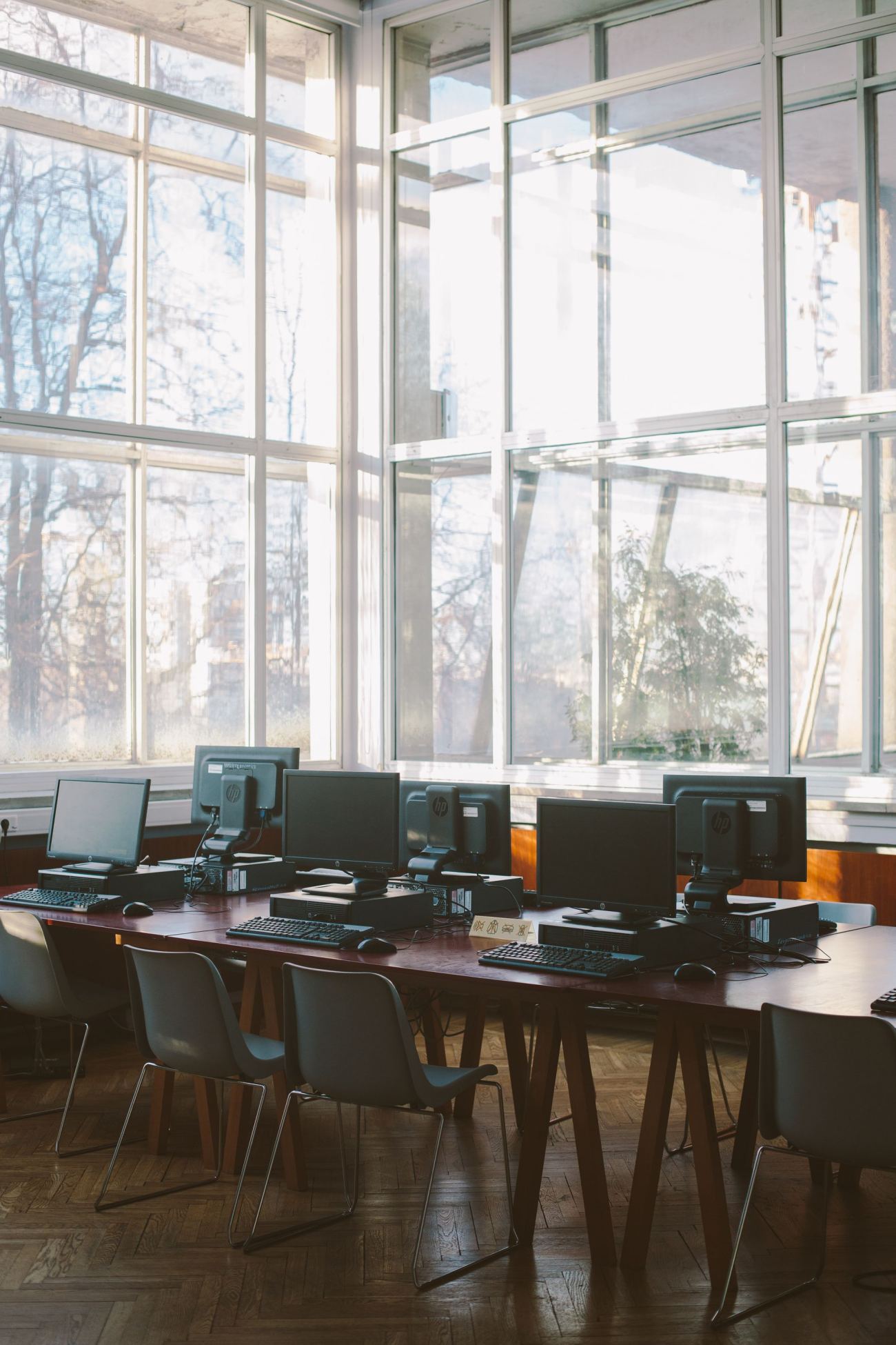 Rows of public computer terminals in a sunlit library reading room